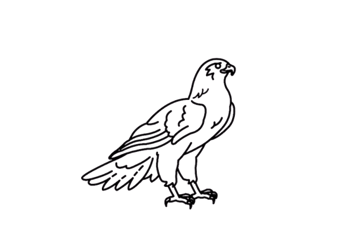Ruffling Eagle Animation animation bird cartoon design eagle gifanimation graphic design illustration mascot ruffling srite