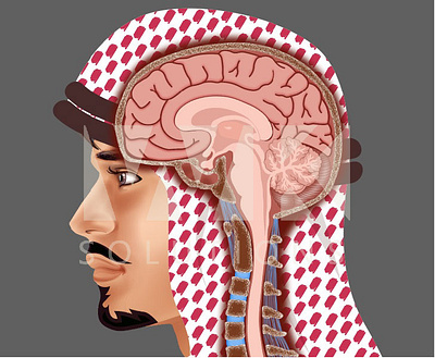Illustration brain concept art graphic design illustration medical illustration