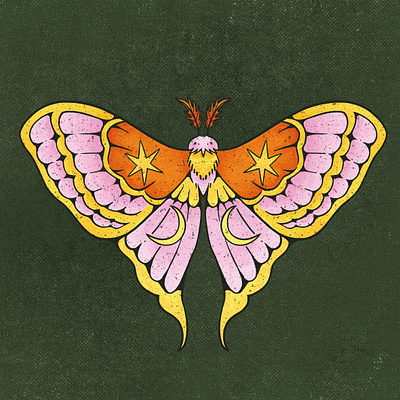 Butterfly digital art illustration