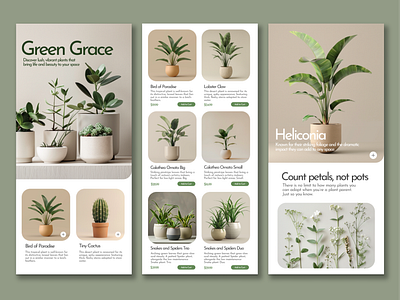 Plant Shop Mobile UI Design art branding design graphic design illustration mockup plant typography ui design