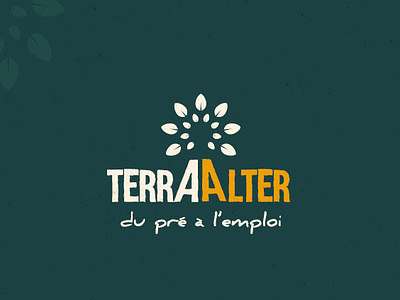 TERRA ALTER - Brand Identity [FR] branding drawing france french graphic design infography logo nature poster rebrand social media vegetables visual identity