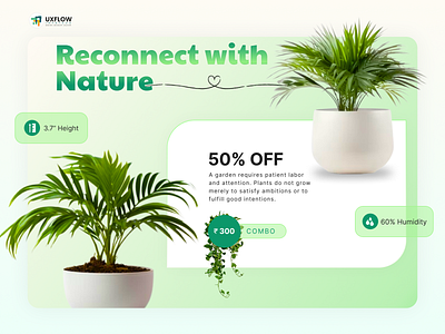Website - Plants at home