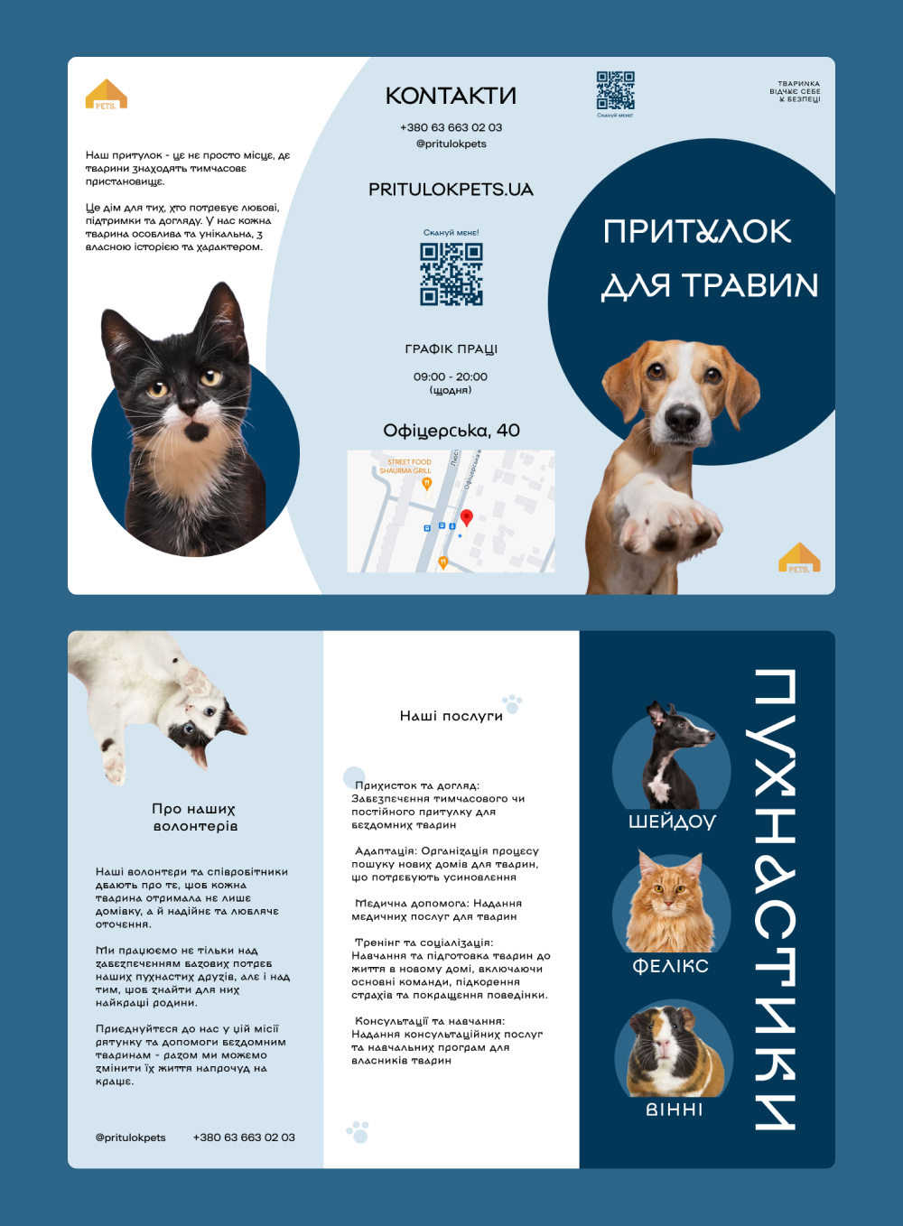 Booklet - The Animal Shelter branding graphic design logo pets ui