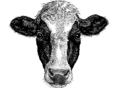 Animal Cow designs, themes, templates and downloadable graphic elements ...