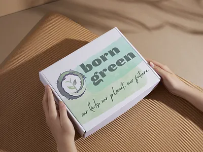 Rebranding and Mailer Box Design brand identity guide branding dieline graphic designer identity guide kids brand logo logo design mail box mailer box packaging rebranding sustainability