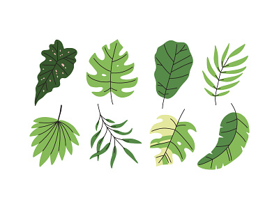 Tropical leaves cartoon concept design flat foliage illustration jungle leaves nature summer tropical vector