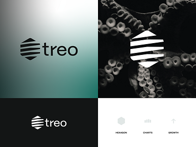 Treo branding design graphic design logo