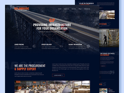 GIP Infrastructure Website Design branding graphic design ui ux web design