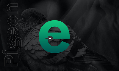 Pigeon Brand Identity brand identity branding creative logo design graphic design icongraphy logo
