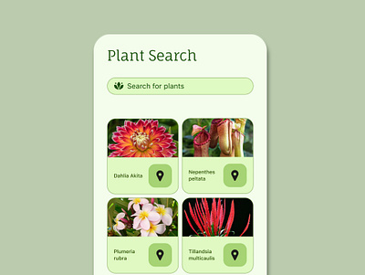 Segawa Gardens App app design botanical garden brand design illustration product design ui ui design ux ux design