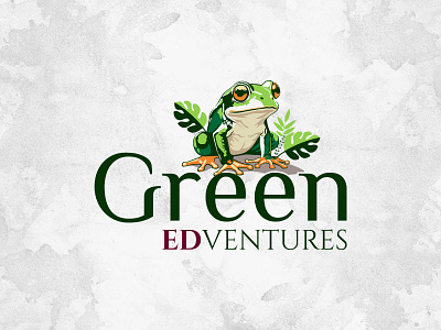 Green Edventures branding frog graphic design illustration logo procreate