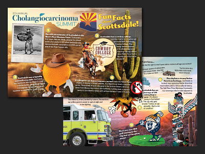 "Fun Facts About Scottsdale" Postcard cca summit design graphic design postcard scottsdale