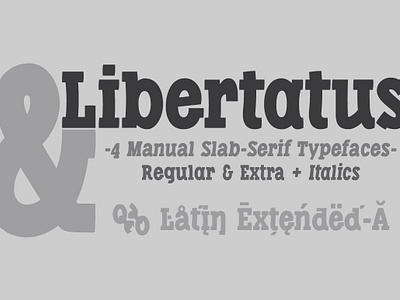 Libertatus fonts bitcoin black condensed handwritten latin extended a manual open type features slab serif