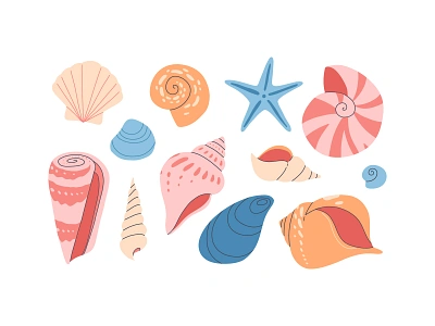 Seashell set animal cartoon concept design flat illustration marine nature ocean sea shell underwater vector