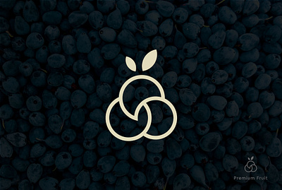 Premium Fruit Logo Design branding fruit logo graphic design logo luxury logo modern logo premium logo