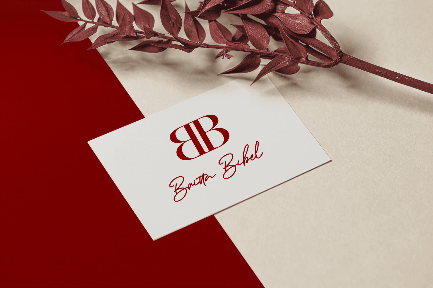 Britta Bibel — From Geometry to Impact: The Logo Transformation brand identity brand logo branding design graphic design icon illustration logo logo design performance coach typography ui uiux ux vector visual identity web