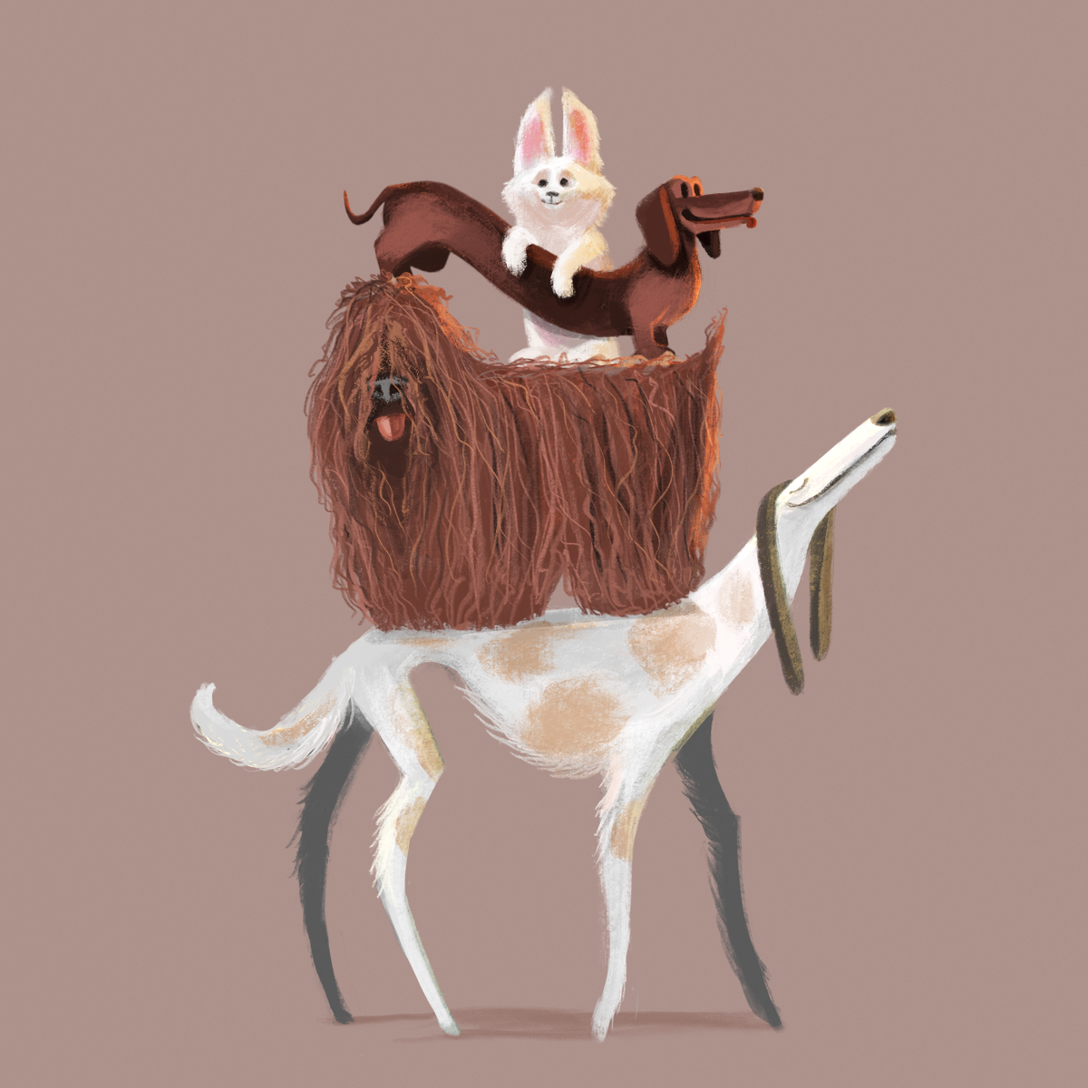 Dog ladder animal animals cartoon character character design dog illustration