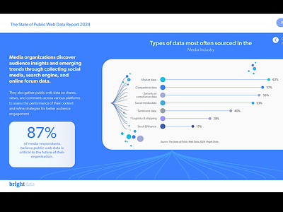 Data Visualisation Report for Bright Data big data branded collateral bright data data design data visualisation freelancer graphic design israel lead new york public web data visualisation visuals