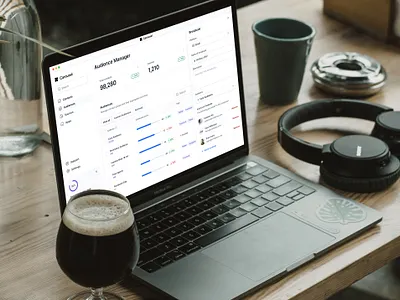 Carousel - Audience Manager audience dashboard data visualization product design segment social tailwind ui ux