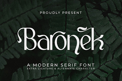 Baronek - A Modern Serif Font style