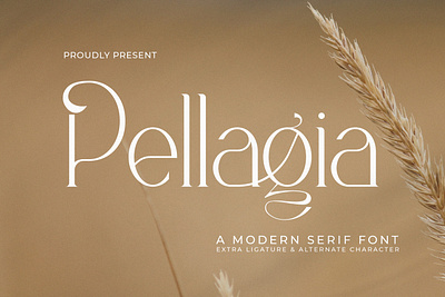 Pellagia - A Modern Serif Font style