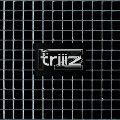 Triiiz® Studio Brand Identity branding business card design download free freebie graphic design logo mockup mockup cloud mockupcloud