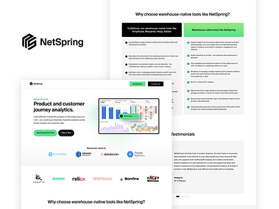 Landing Pages for NetSpring branding design graphic design landing page landing page design ui