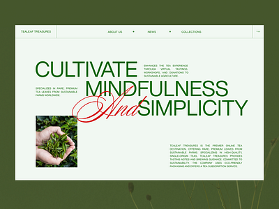 Tealeaf inspiration website concept design landingpage ui web design webui