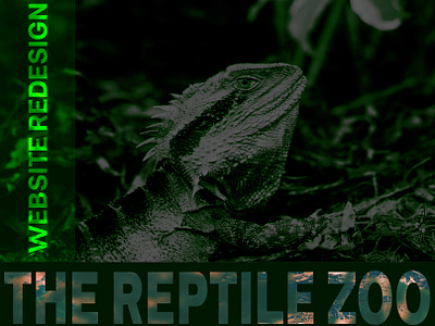 The Reptile Zoo website redesign case study design figma hero section inspiration redesign reptiles typography ui user experience web design wireframes wow effect
