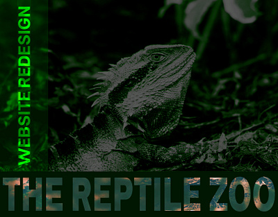 The Reptile Zoo website redesign case study design figma hero section inspiration redesign reptiles typography ui user experience web design wireframes wow effect
