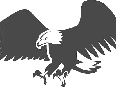 Eagle logo bird branding design graphic graphicdesign graphics illustration logo minimal vector