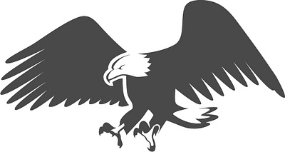 Eagle logo bird branding design graphic graphicdesign graphics illustration logo minimal vector