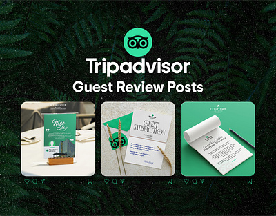 Trip Advisor Guest Review Poster/posts brand designer branding design design portfolio graphic design graphic designer instagram post designs instagram posts poster design poster designer posts design review post review posters social media designs social media posters social media posts tripadvisor tripadvisor designs tripadvisor review posts