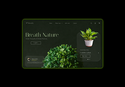 Rootify 🌿 3d branding color theory graphic design mac motion graphics typography ui ux visual design