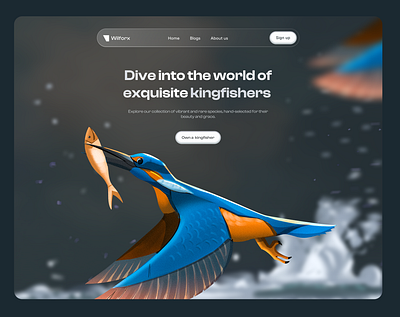 Landing page - Kingfisher animal design darkmode design exploration farming illustration kingfisher landing page product design ui user interface design