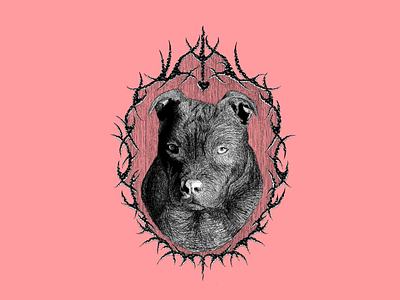 Pit Bull In Frame branding graphic design illustration logo