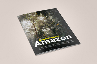 Booklet Design | Graphic Designing bookdesign booklet bookletdesign branding design designing ebook ebookdesign graphicdesign