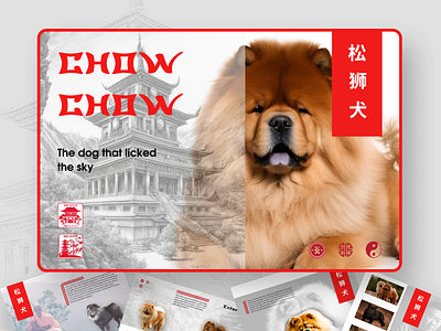 Presentation about the Chow Chow breed china chow chow design dogs graphic design minimalism tibet web design