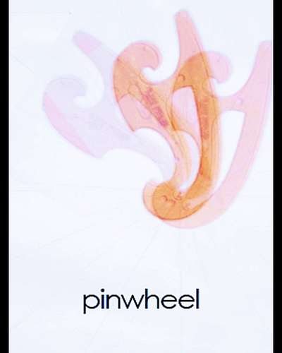 pinwheel branding design graphic design graphics illustration logo video