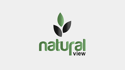 Natural View Logo Animation animation graphic design logo motion graphics