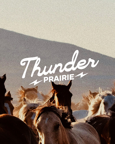 Thunder Prairie Concept adobe animation clothing design graphic design horse illustration logo merchandise photoshop portfolio thunder western