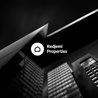 Redjemi Properties / website logo design branding graphic design logo
