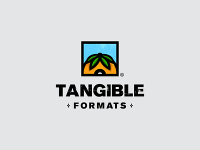 Tangible Formats Logo Redesign Concepts branding design formats logo logoidentity redesign tangible