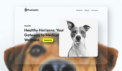 Pro Medic 3d animal animals animation branding cat dog graphic design logo medic motion graphics pet ui vet