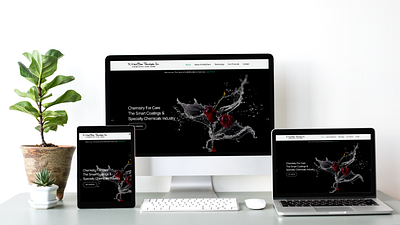 Responsive Dynamic Web Site Design graphic design ui webdesign website