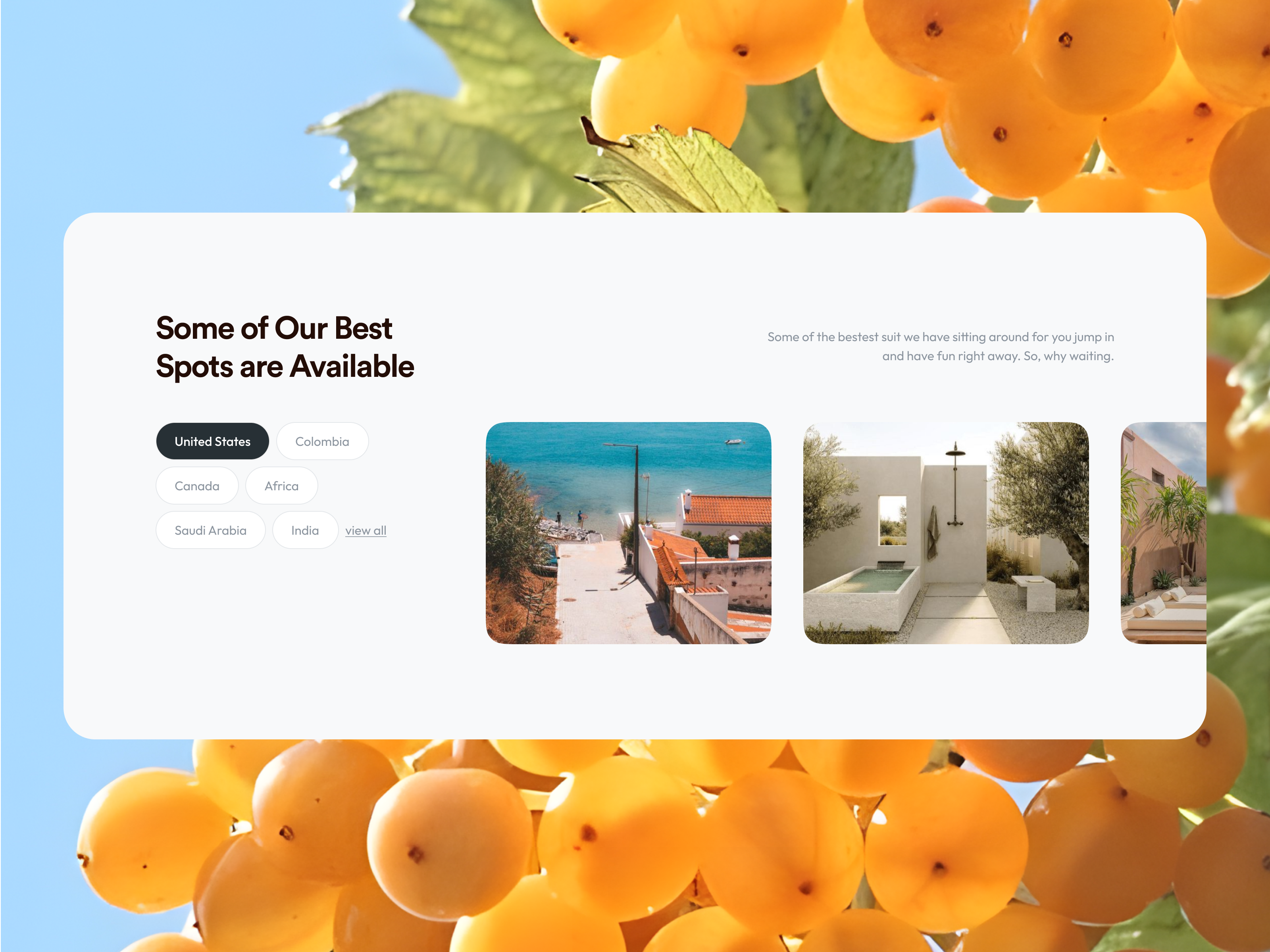 ● Category section app ui branding dashboard design illustration minimal mobile app saber saber ali squidx ui