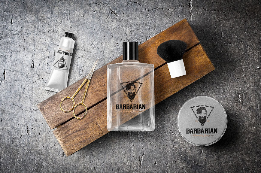 Example of Logo Design 