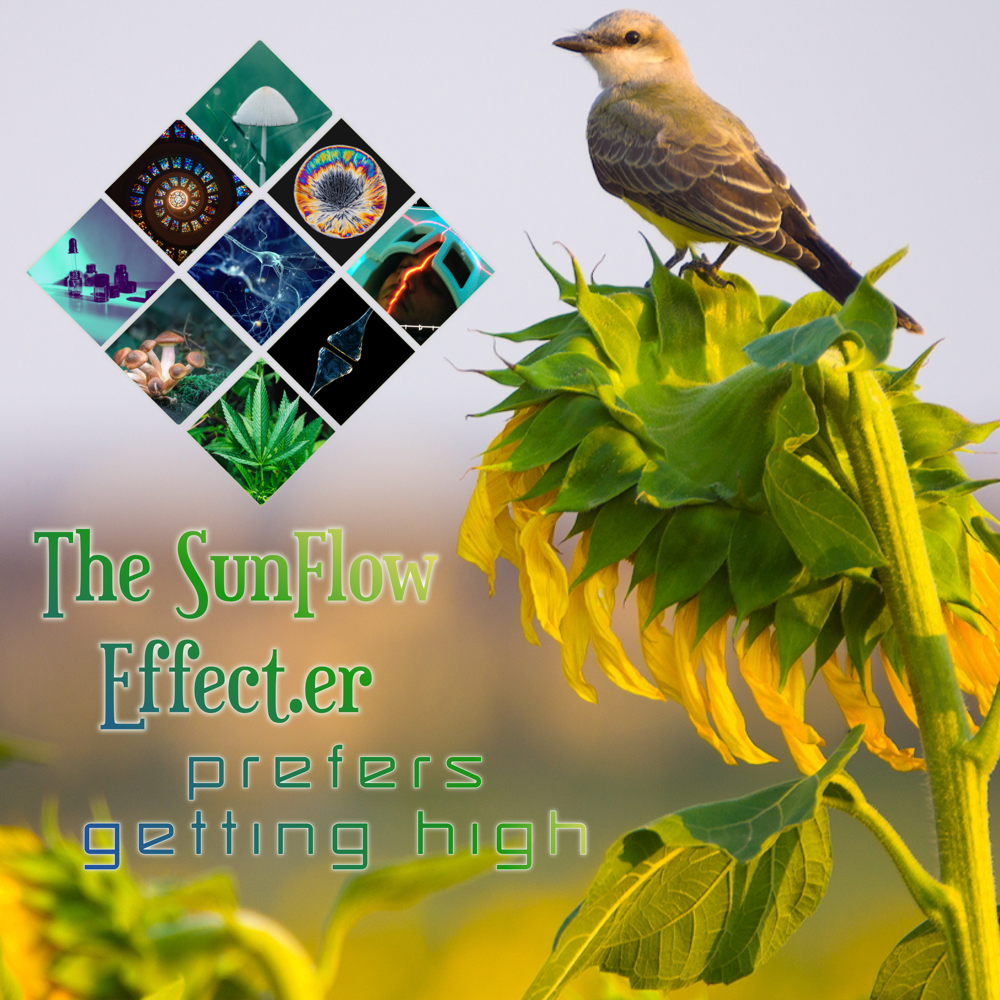 The SunFlow Effect.er