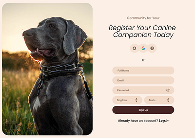 Dog Care Website (Sign Up Page) branding design figma figmaui graphic design logo ui ux web designer websitedesigner