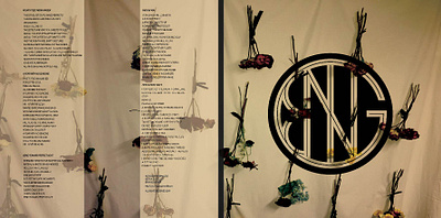 INSERT FOR NGIB RECORD band branding graphic design logo record